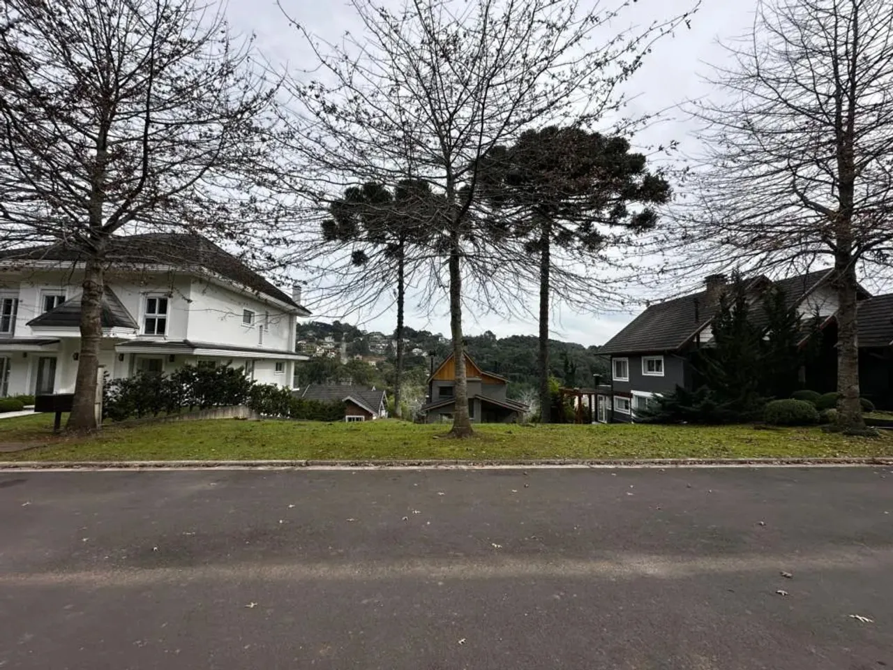 Terreno - Bairro Avenida Central