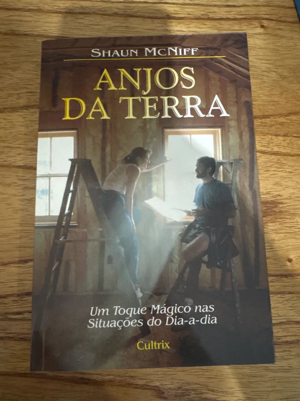 Anjos da Terra SHAUN MCNIFF