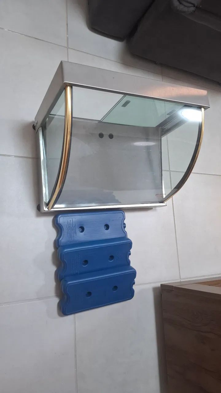 Estufa fria 