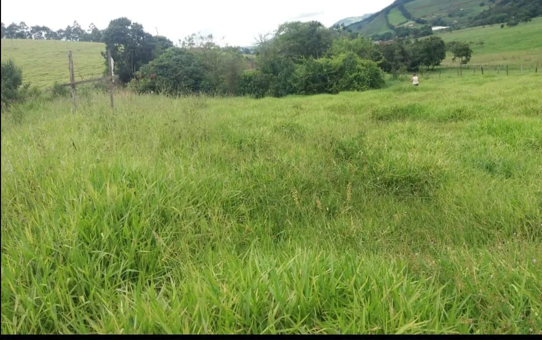 Excelente terreno para chácara  - Foto 4