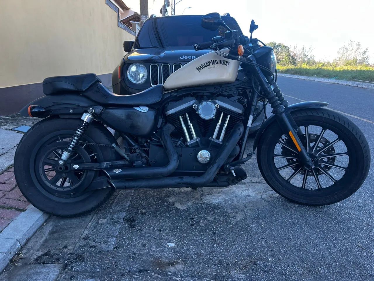 883 Iron - Foto 3