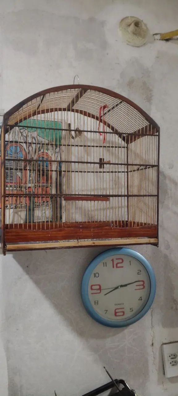 Gaiolas  - Foto 4