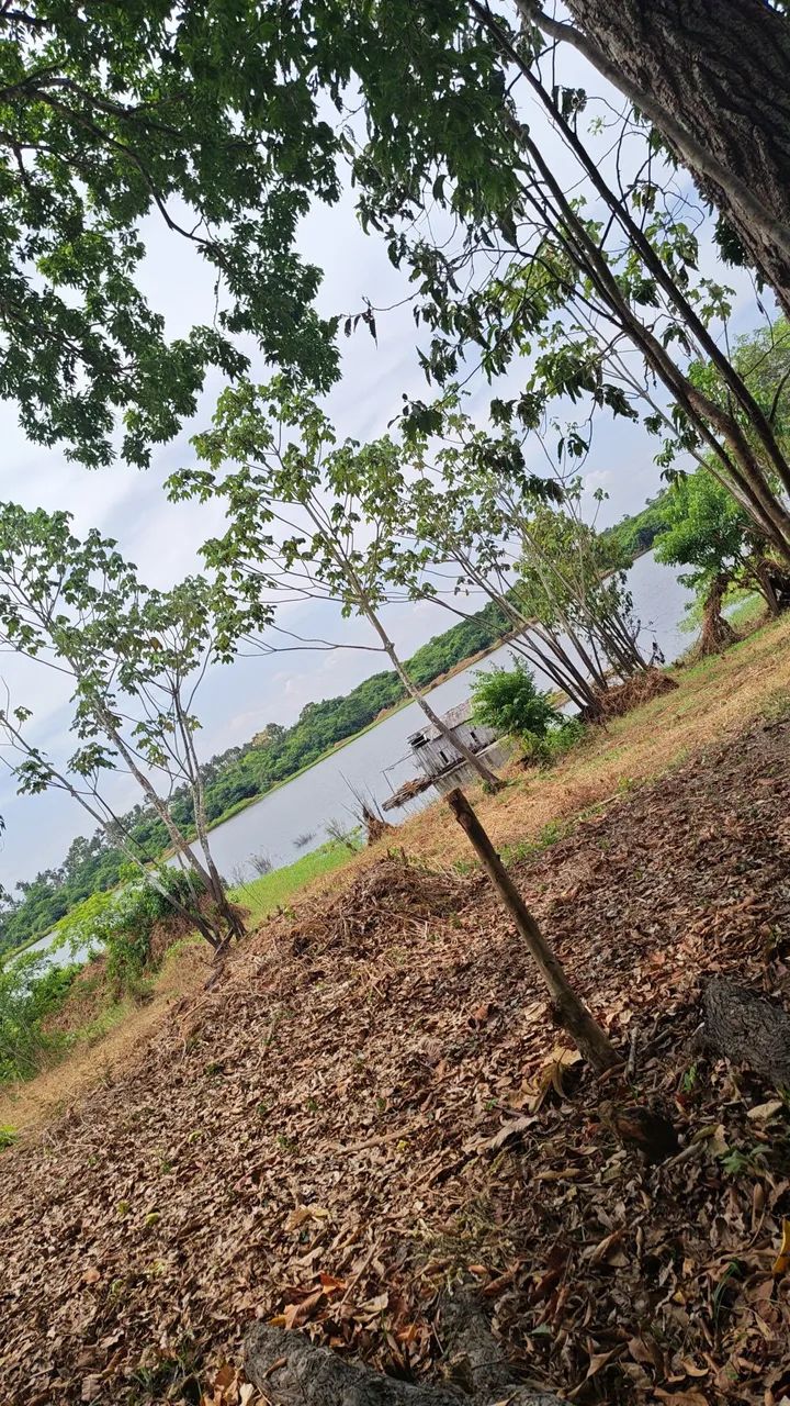 Vendo terreno no Janauari - Foto 2