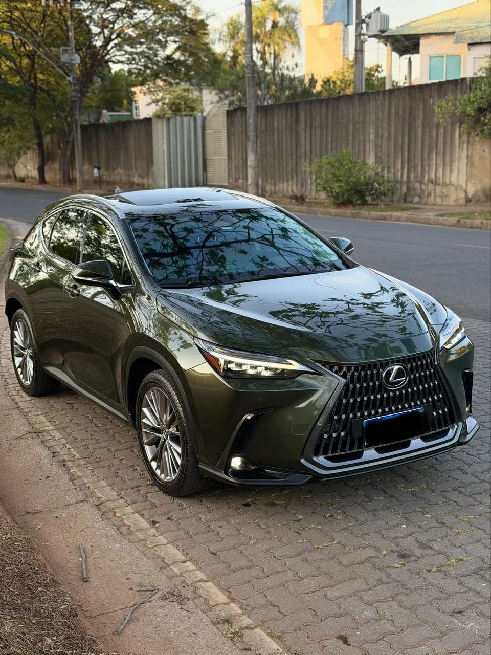 Lexus Nx-350H 2023