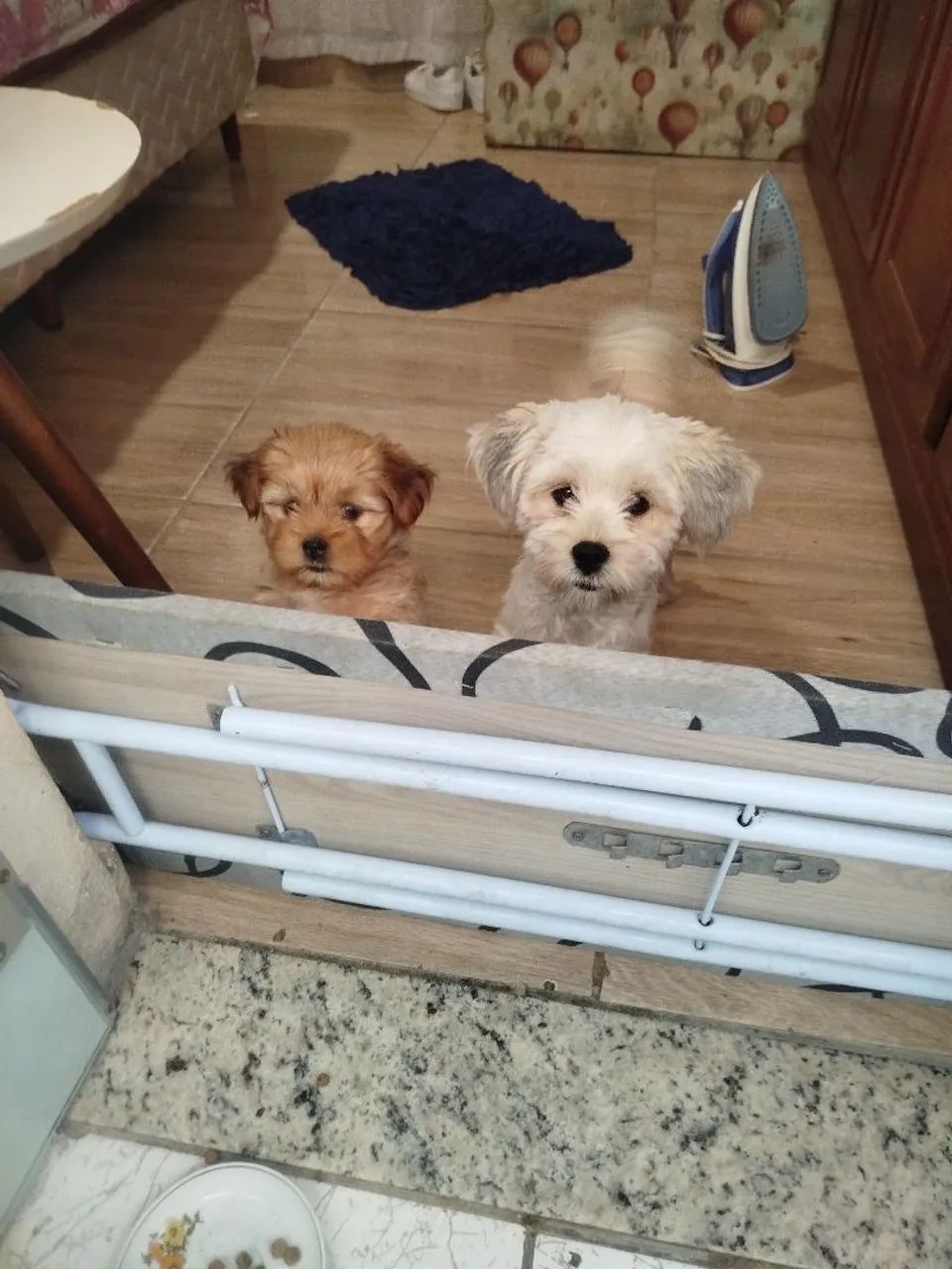 Última disponível  - Foto 2