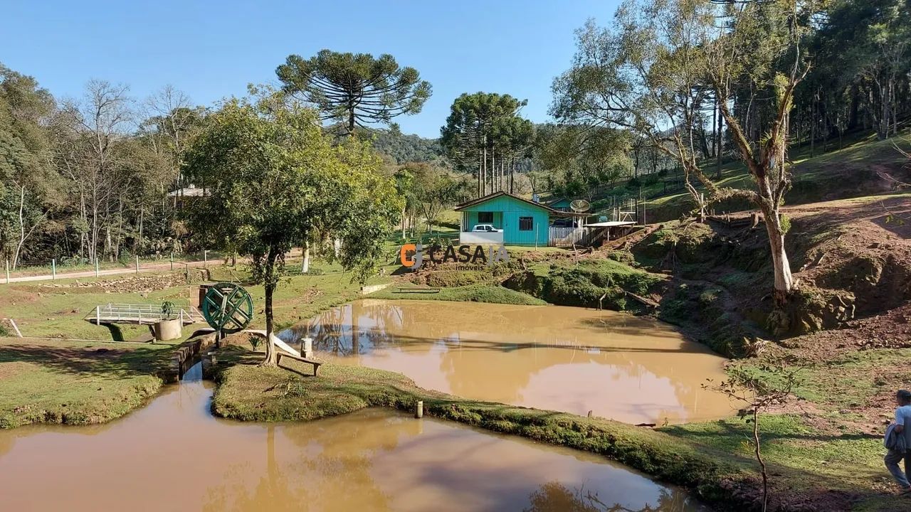 CHACARA RURAL em Campo Largo - PR, Retiro - Foto 4