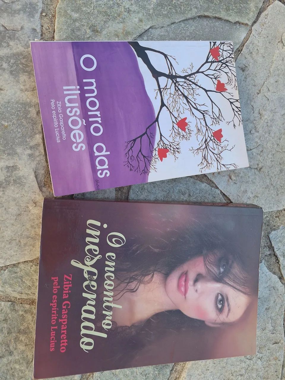 Livros Zibia Gasparetto - Foto 2
