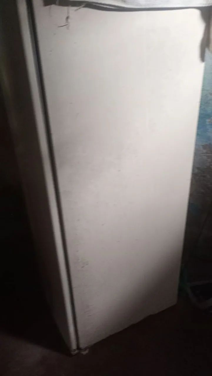 Geladeira funcionando perfeitamente 250