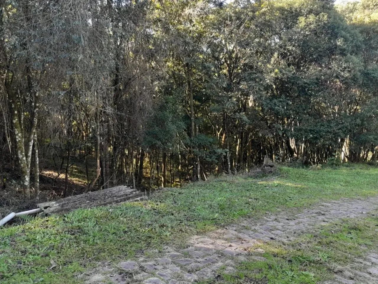 CAXIAS DO SUL - Terreno Padrão - MONTE BÉRICO - Foto 9