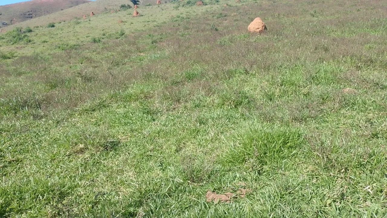 Vendo chácara em Paraibuna.  - Foto 5