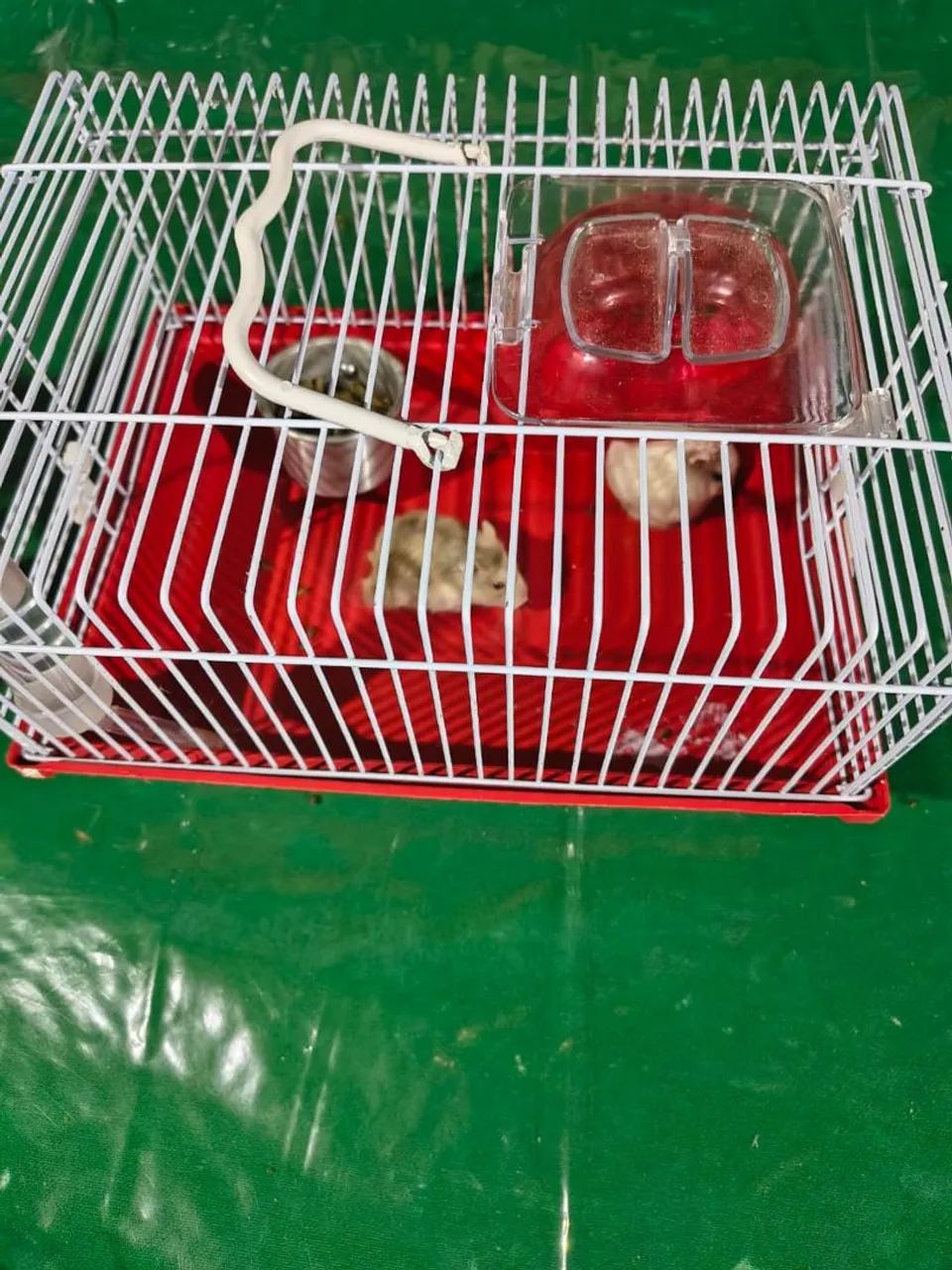 Gaiola para hamster  - Foto 3