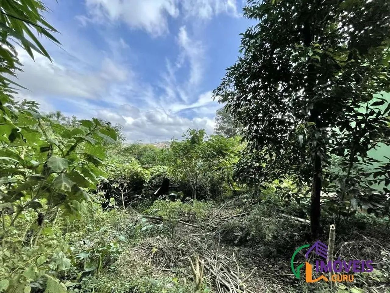 TERRENO EM CONDOMÍNIO - VILA SANTO ANTÔNIO - SP - Foto 4