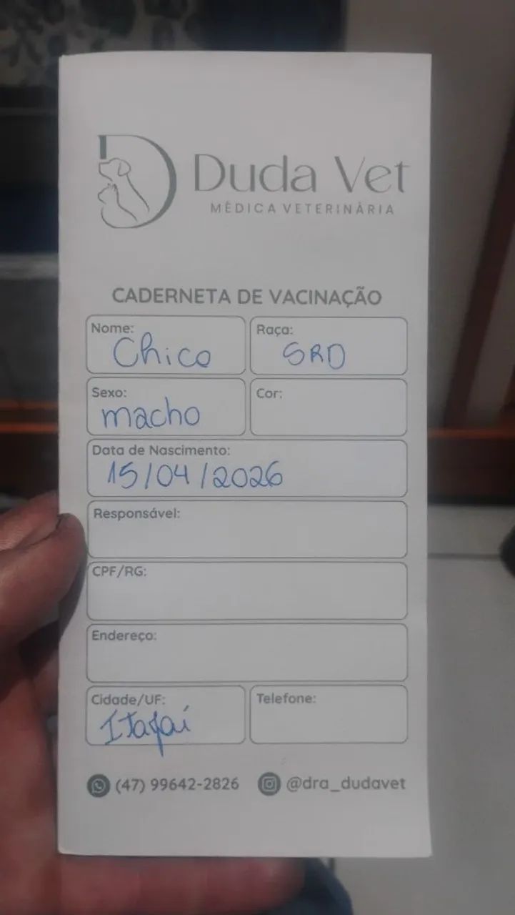 Doa-se cachorro - Foto 2