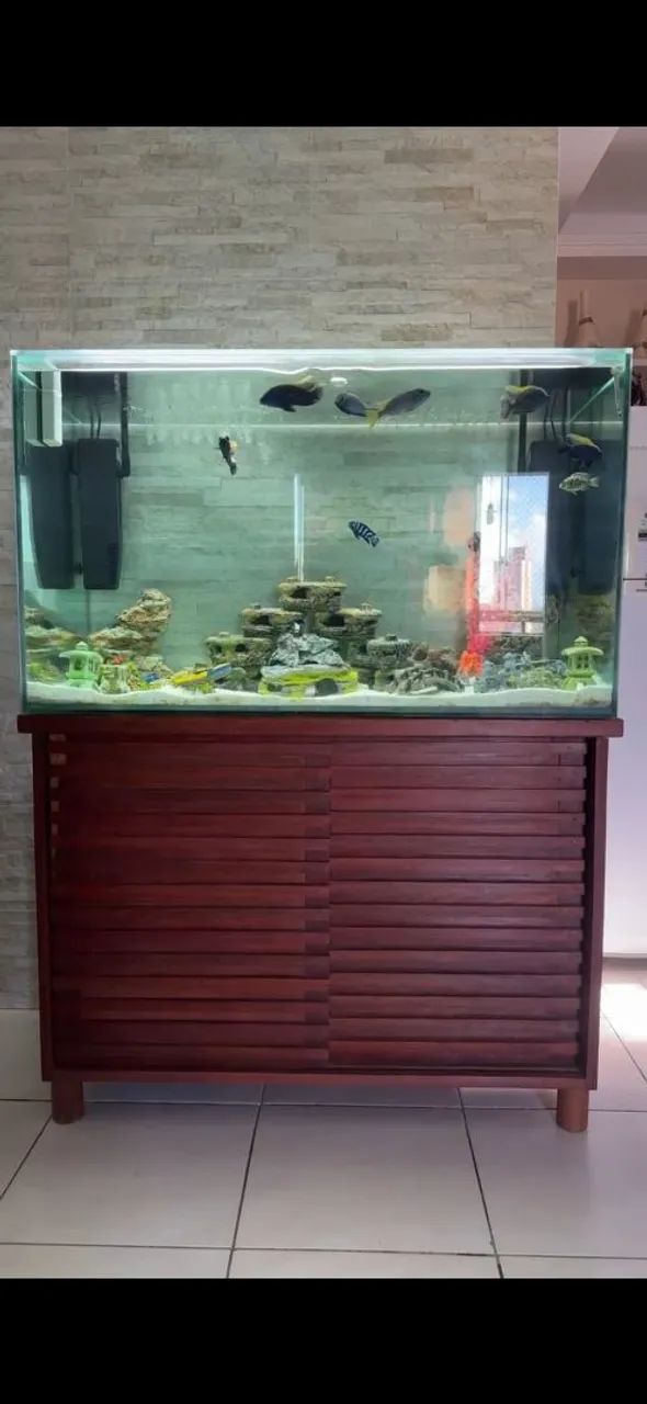 AQUARIO ZERO COMPLETO