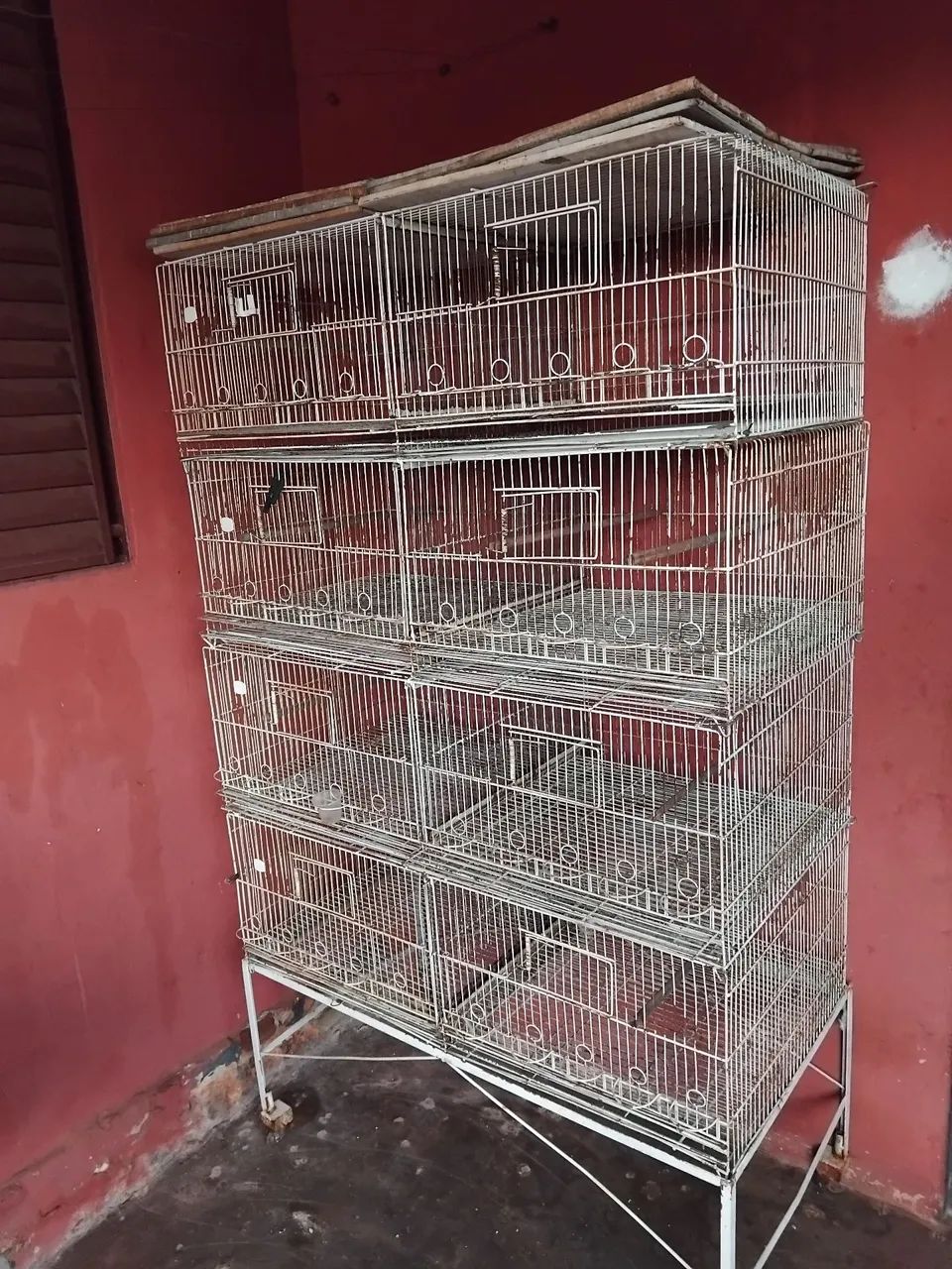 Voadeira para Pássaros  - Foto 4