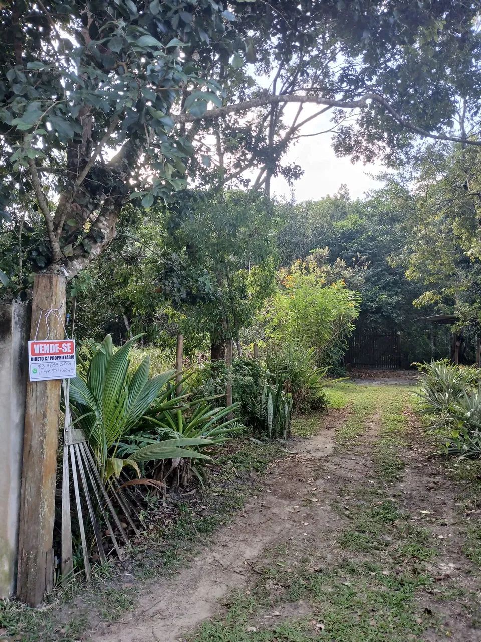 Terreno a venda praia do Sargi - Foto 2