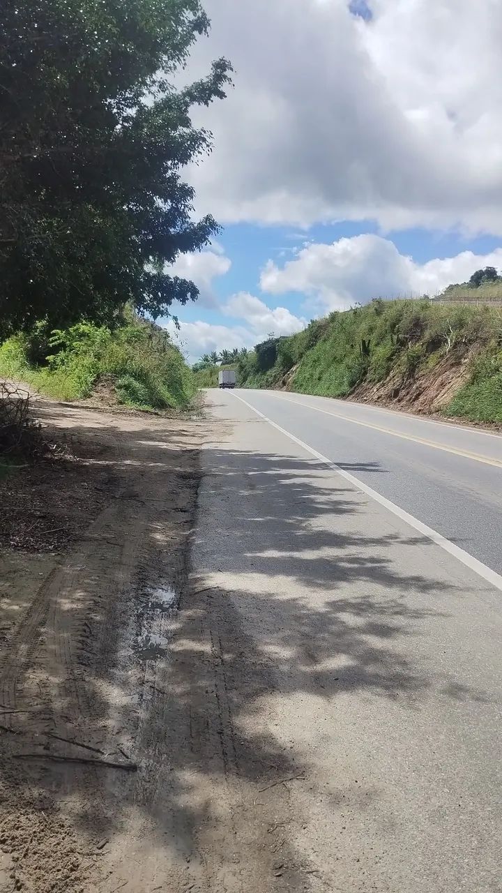 Sítio na beira estrada em Lagoa Seca  - Foto 3
