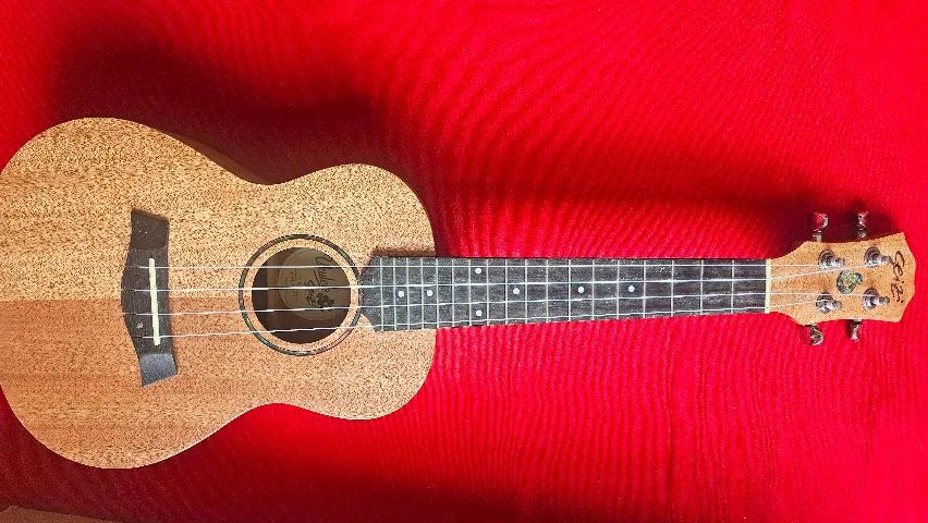 Ukulele Seizi concert