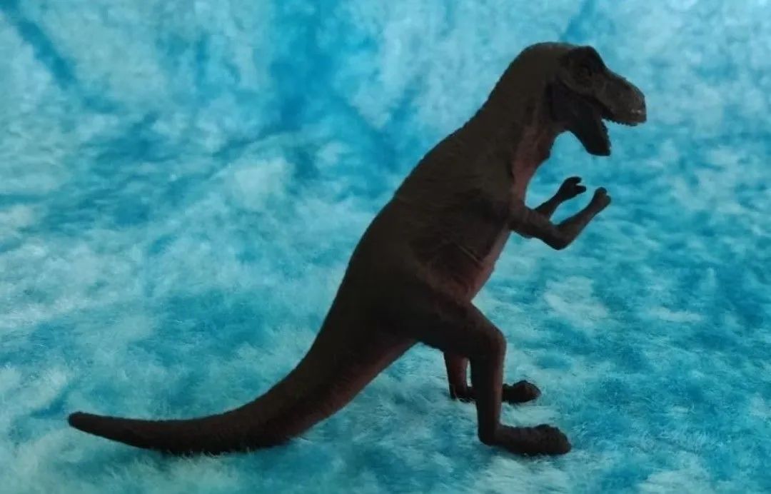 Kit  de Dinossauros - Foto 4
