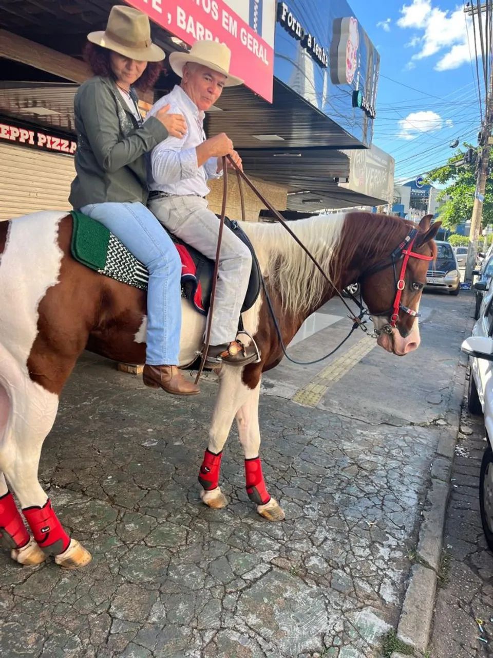 Cavalo Paint horse - Foto 3