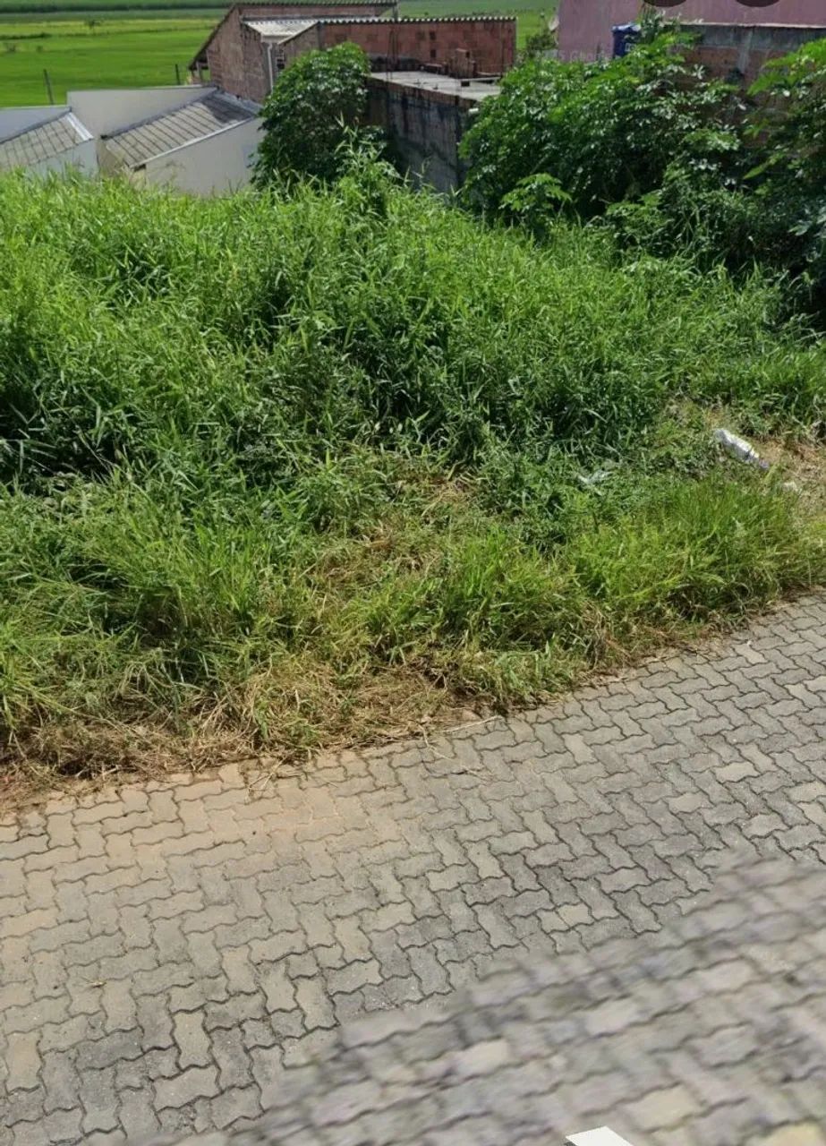 Só a venda 
