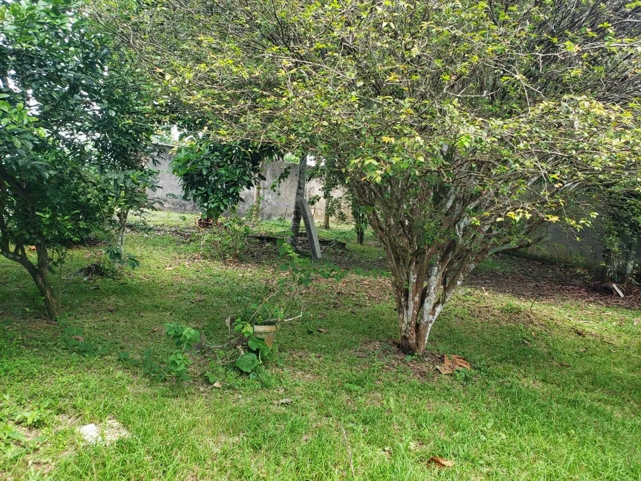Jardim friburgo 420m2 - Foto 4
