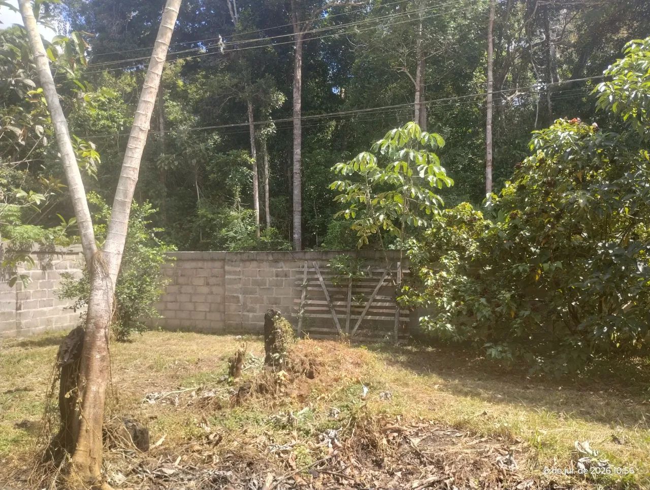 Excelente lote para chácara 20x40 todo murado e com fruteiras - Foto 4