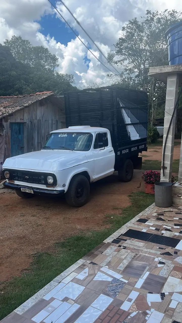 Chevrolet D-10 Diesel 1974