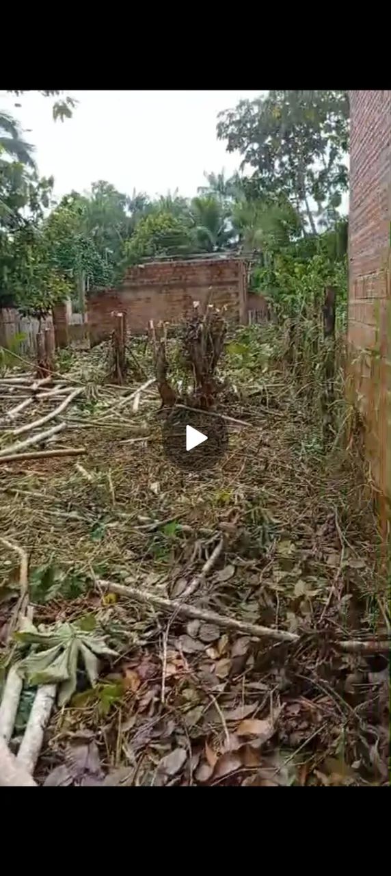 Terreno - Foto 2