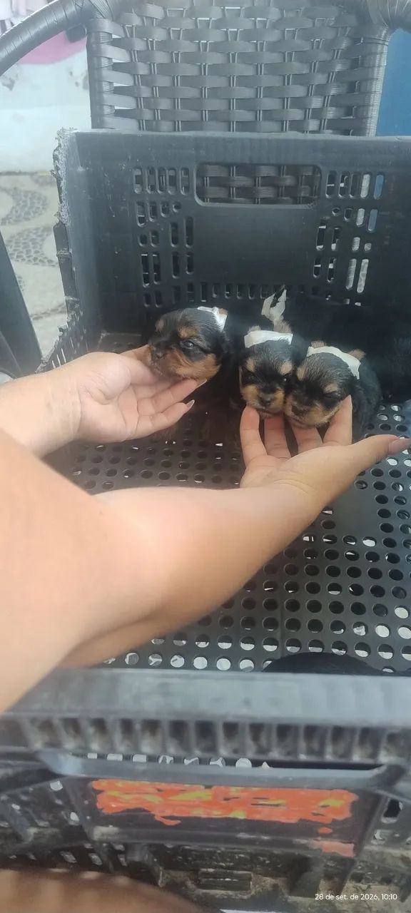 Presente para o dia das crianças 