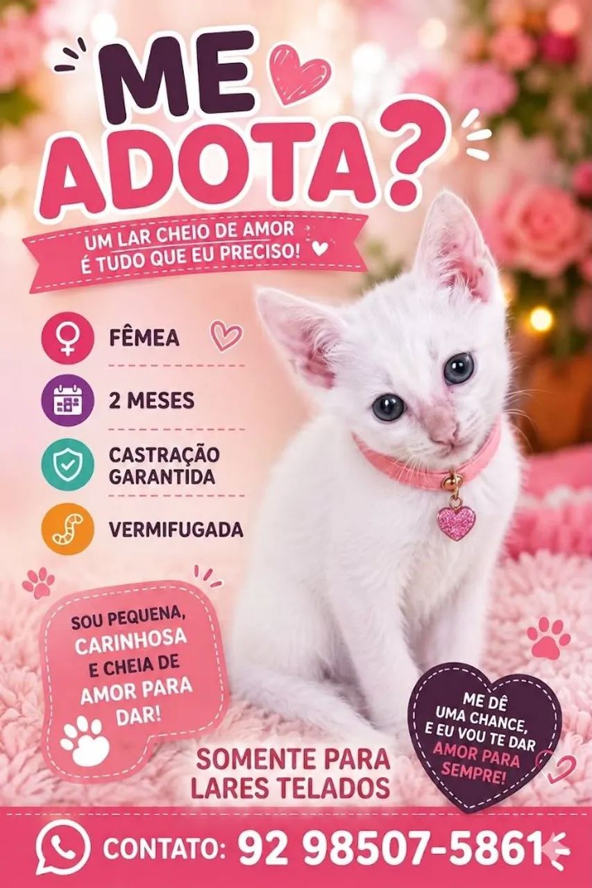 Gatinhos para adoção responsável  - Foto 3