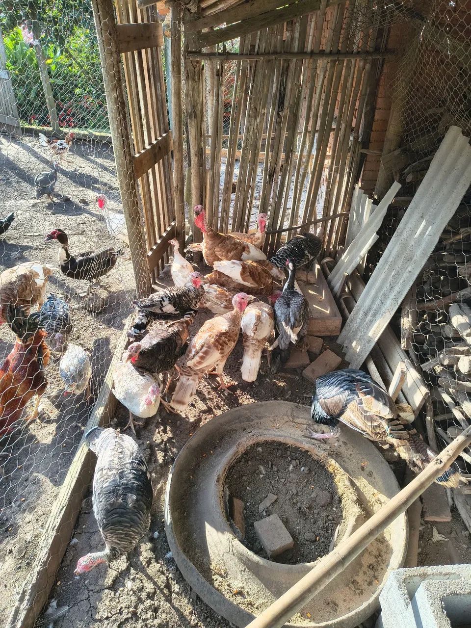 Peru - Foto 2