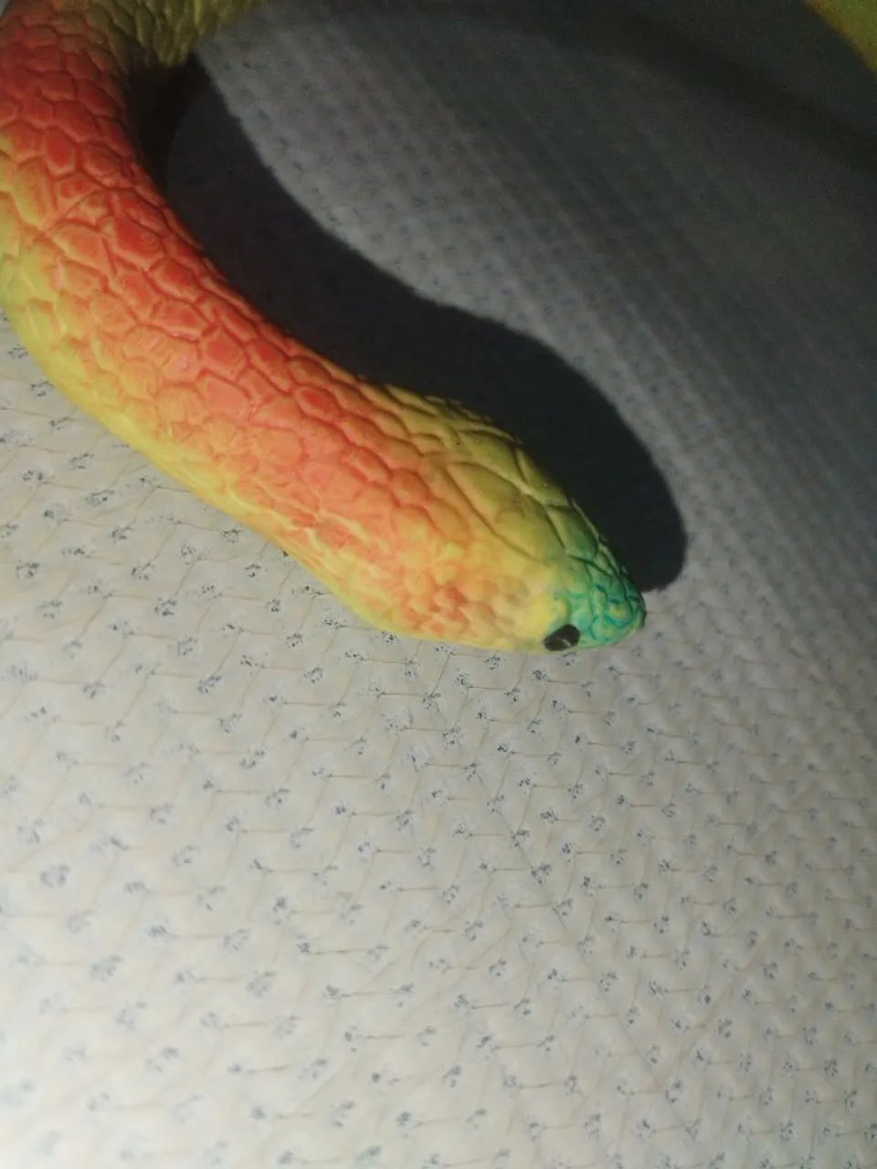 Cobra de mentira ( troll ) - Foto 2