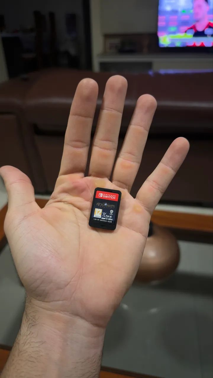 Hogwarts Legacy Nintendo Switch