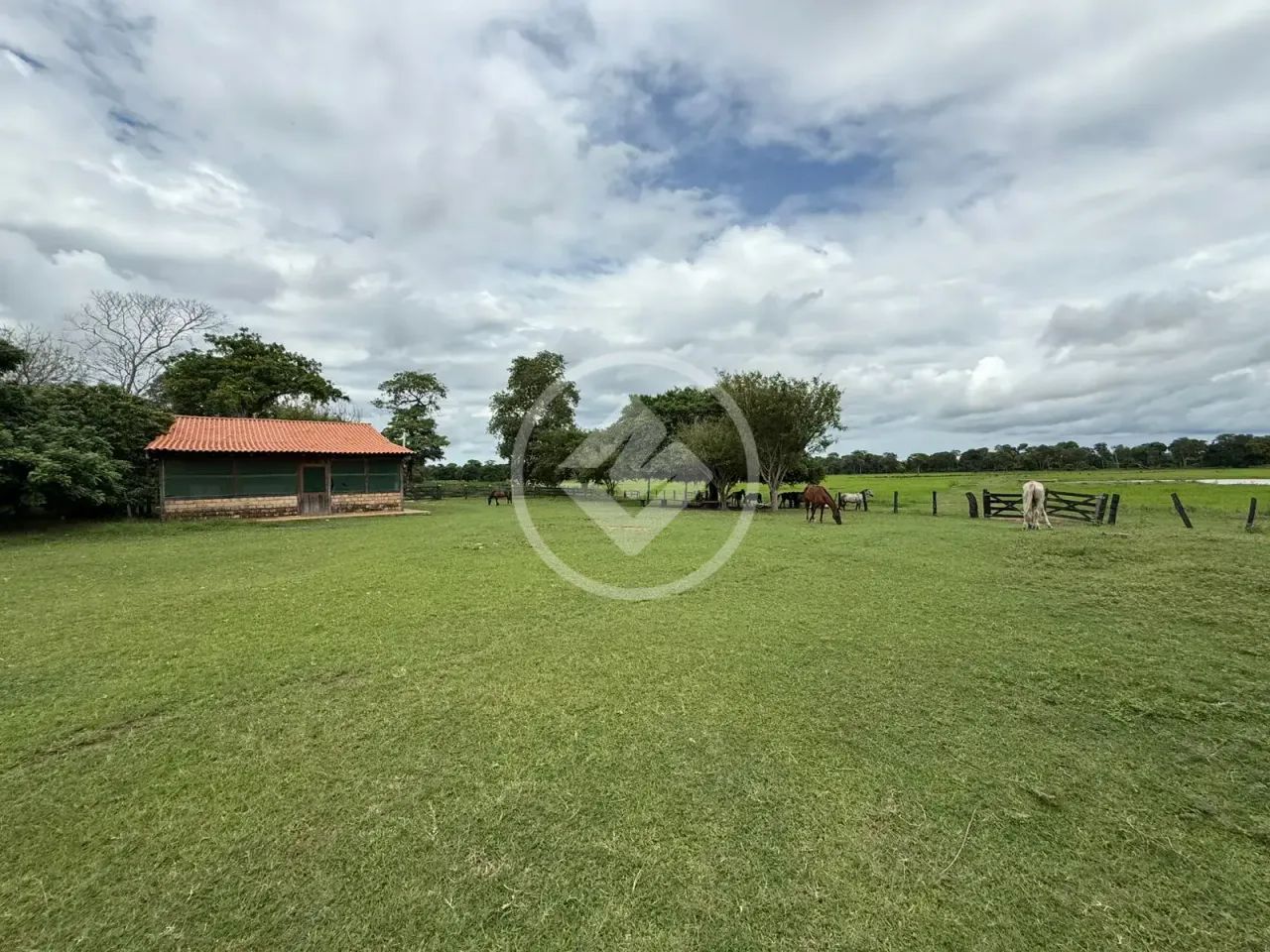 Fazenda de 512 Hectares em Poconé  Pronta para Pecuária e Lazer codigo: 325459 - Foto 4