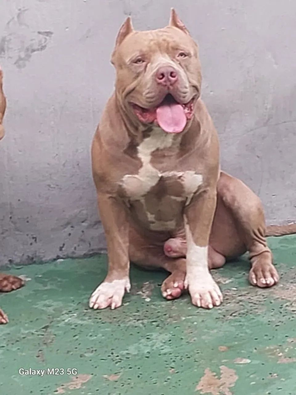 Faça sua reserva! - Foto 4