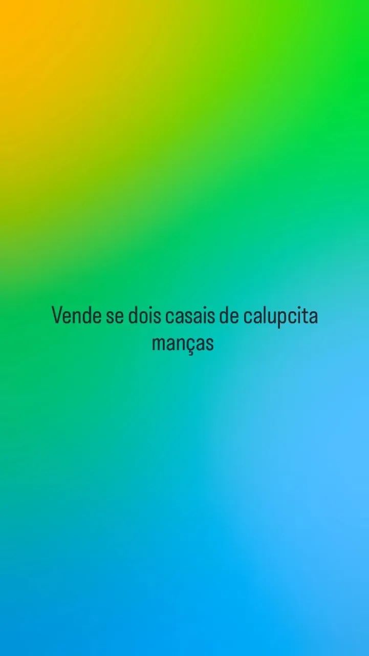 Vendas  - Foto 3