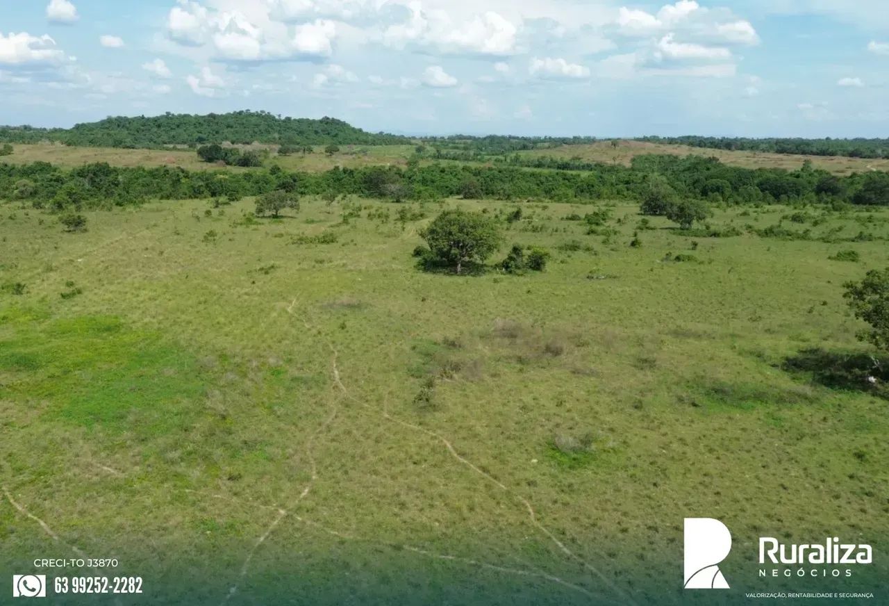 248 ALQUEIRES | 600 HA PRONTOS PARA AGRICULTURA | SAFRA E SAFRINHA - Foto 6