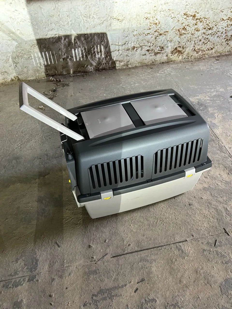 Box para pet