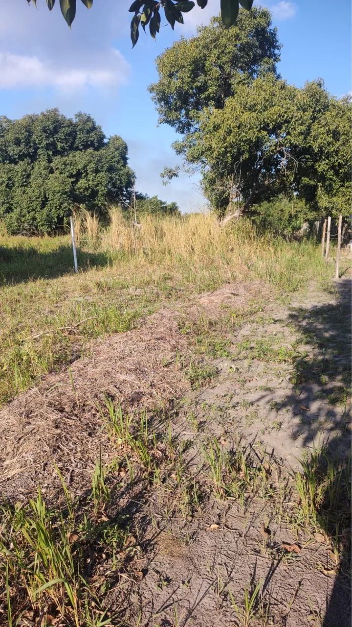 Vendo terreno  - Foto 5