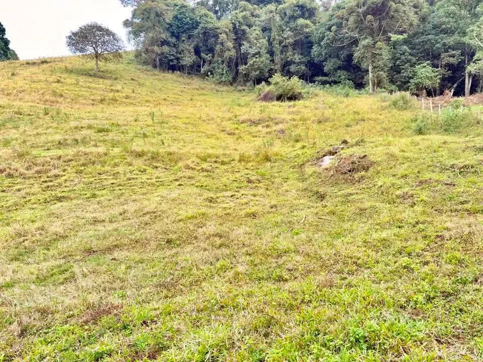 Promoção em Bom Repouso - Foto 2
