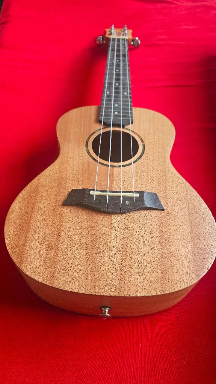 Ukulele Seizi concert - Foto 5