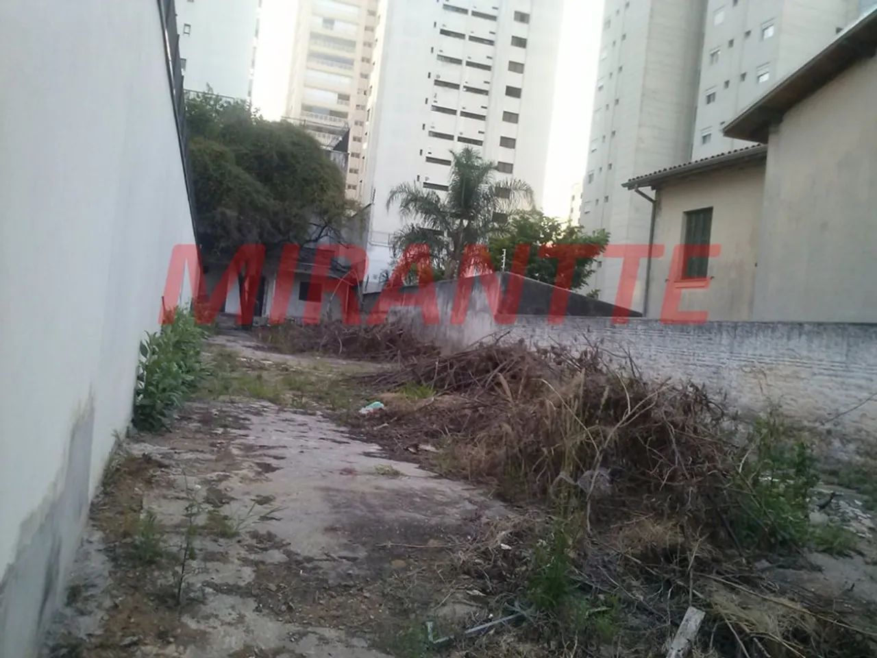 Terreno em Perdizes - Foto 4