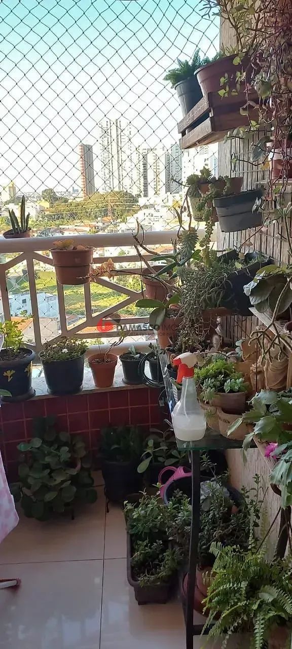 Apartamento em Santa Maria - Foto 5