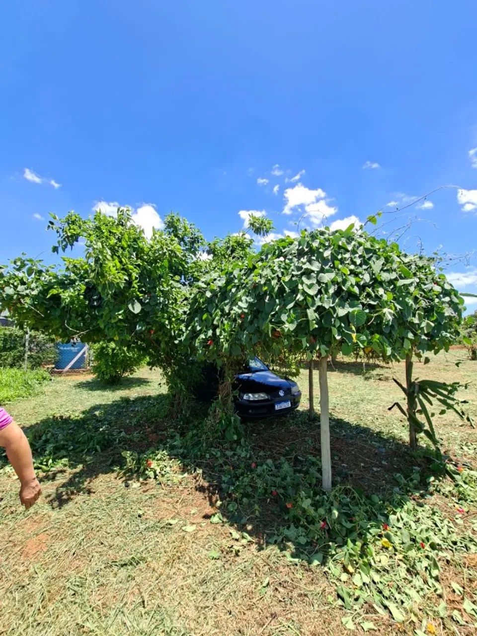 Terreno 2.000m2  no Recanto Azul  - Foto 4