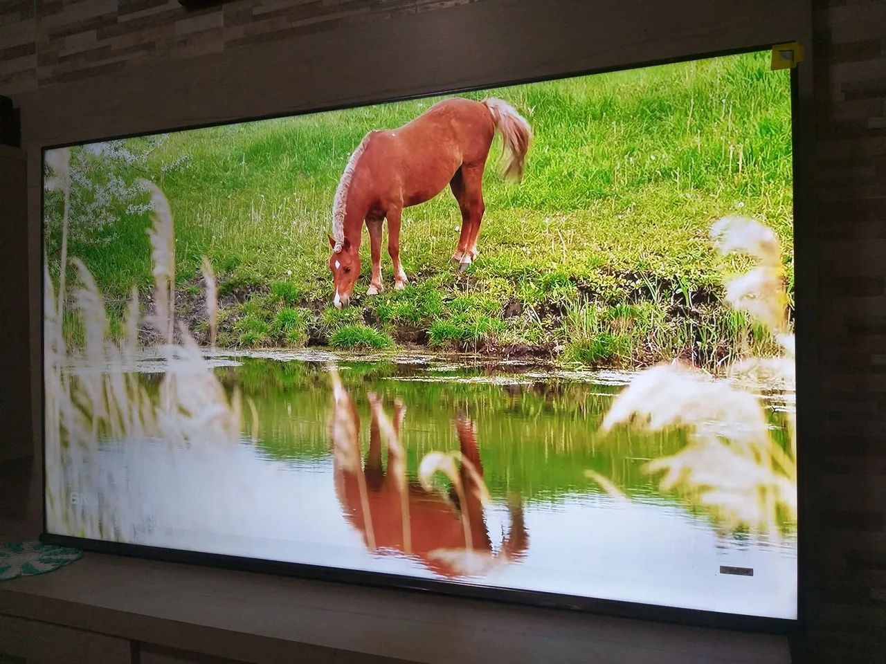 Tvs 