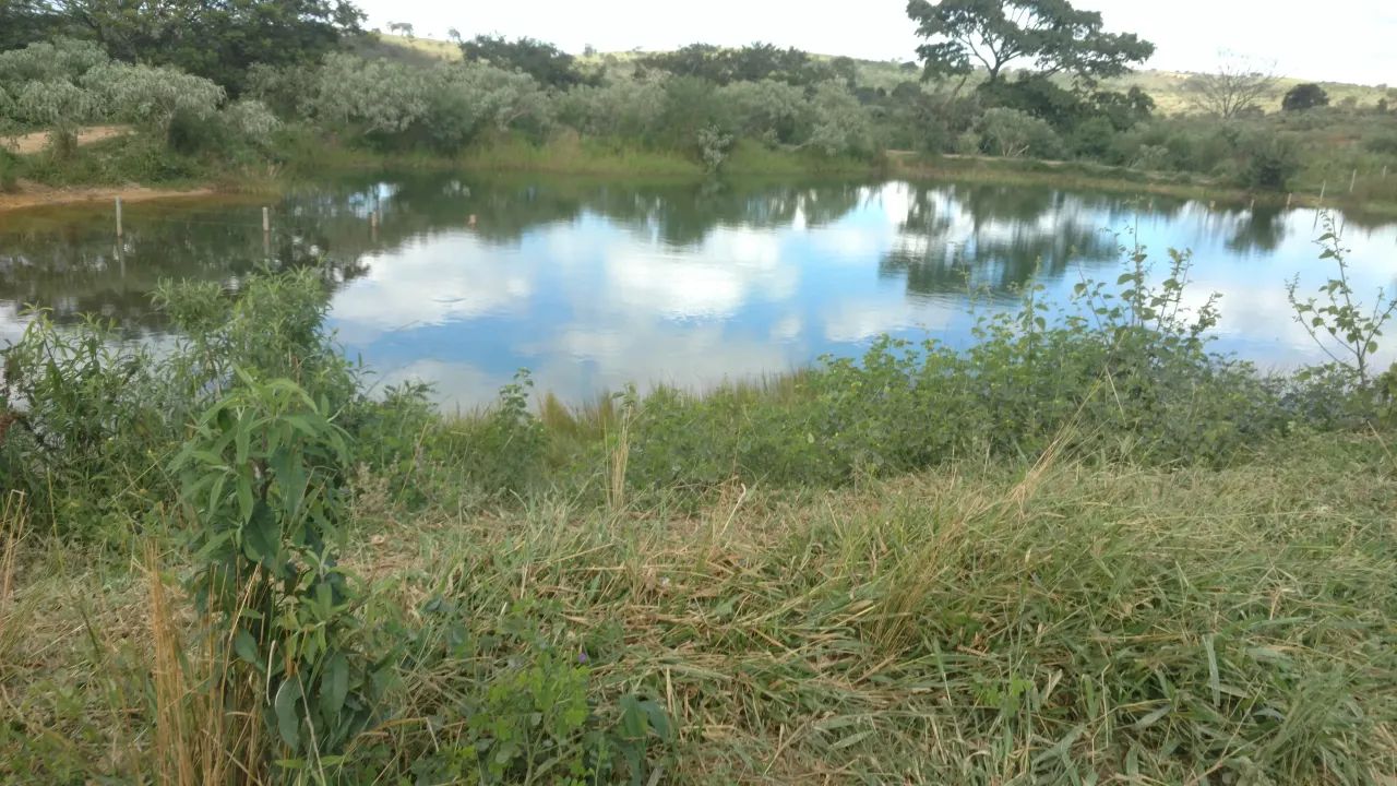 Terreno 20.000m² em Cordisburgo - Foto 4