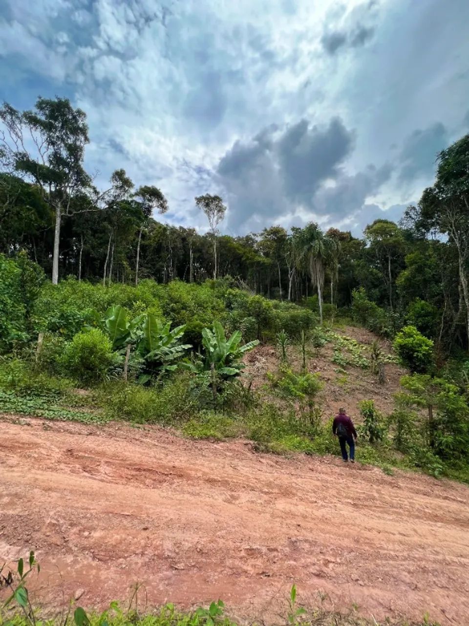 Foto - Itapecerica da Serra - Ressaca