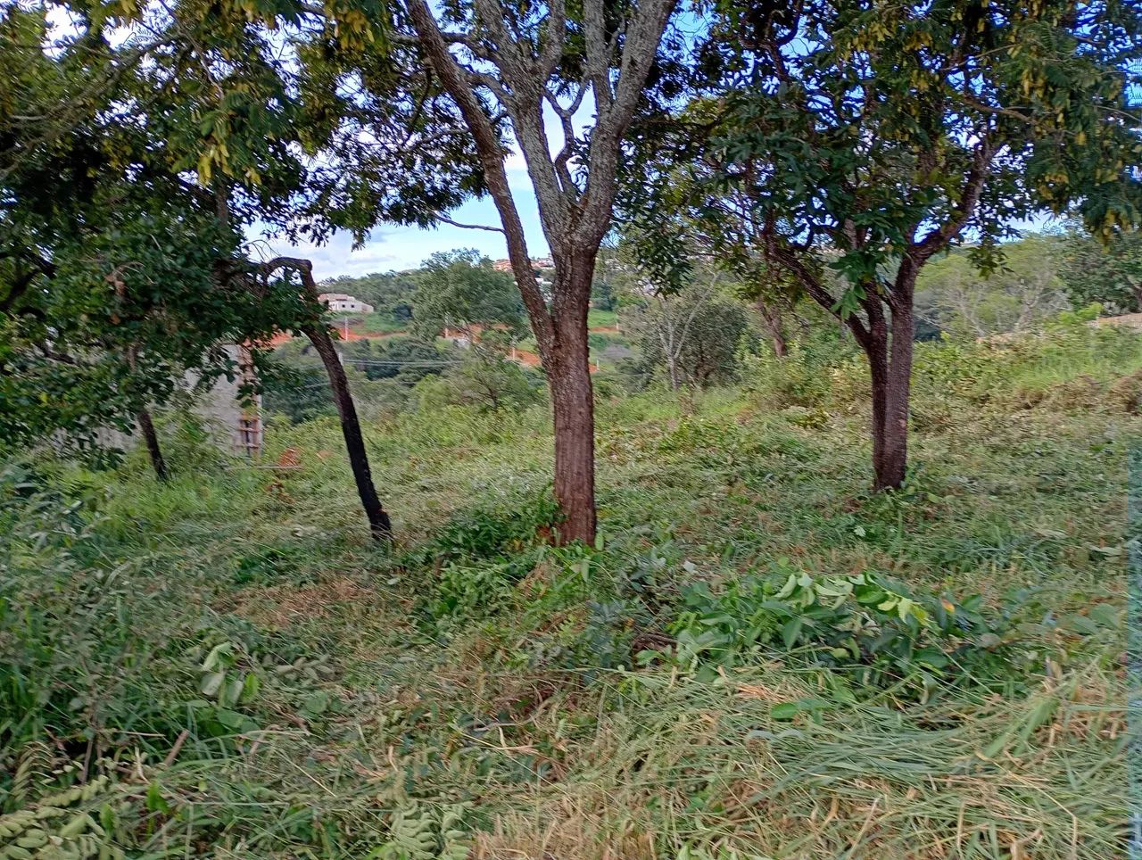 Foto - Belo Horizonte - Santa Maria