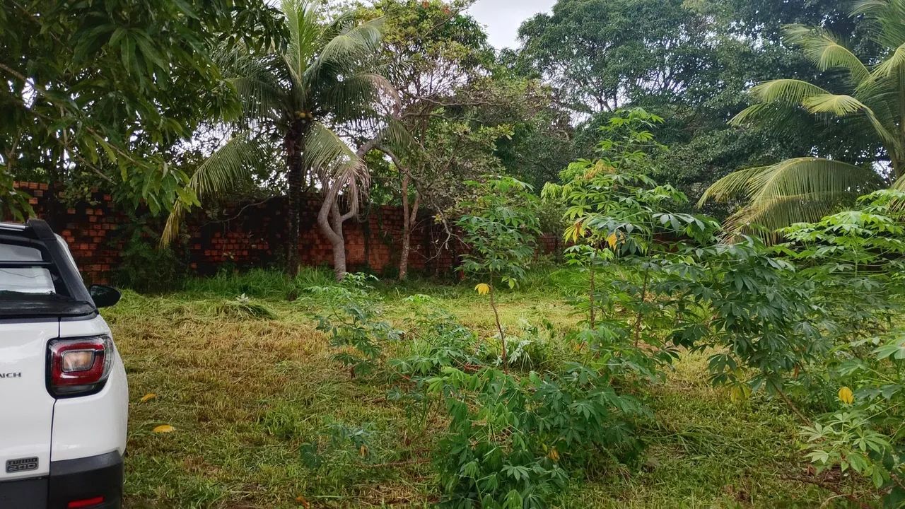 Vendo lotes e terreno 